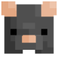 2D Render Front