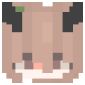 2D Render Front