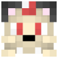 2D Render Front