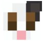 2D Render Front