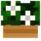 2D Render Front