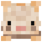 2D Render Front