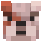 2D Render Front