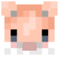 2D Render Front