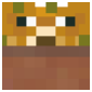 2D Render Front