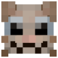 2D Render Front