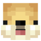 2D Render Front