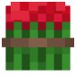 2D Render Front