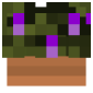 2D Render Front