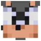 2D Render Front