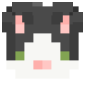 2D Render Front