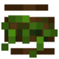 2D Render Front