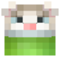 2D Render Front