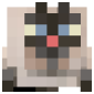 2D Render Front
