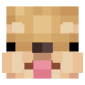 2D Render Front