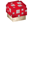 Skinfile