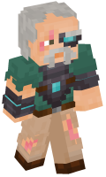 Skinfile