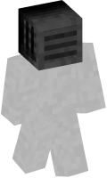Skinfile