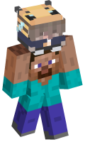 Skinfile