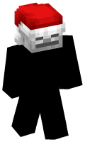 Skinfile