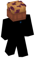Skinfile