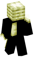 Skinfile