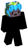 Skinfile