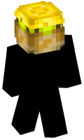 Skinfile