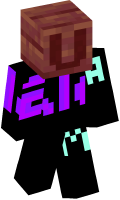 Skinfile