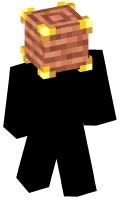 Skinfile