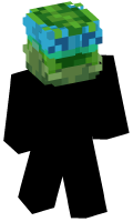 Skinfile