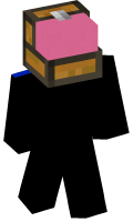 Skinfile