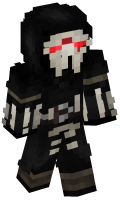 Skinfile