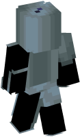 Skinfile