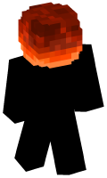 Skinfile