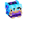 Skinfile