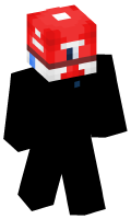Skinfile