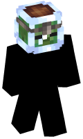 Skinfile