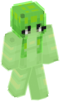 Skinfile