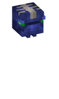 Skinfile