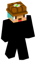 Skinfile