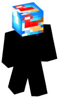 Skinfile