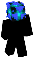 Skinfile
