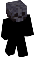 Skinfile