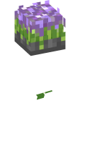 Skinfile