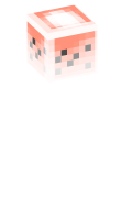Skinfile