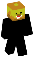 Skinfile