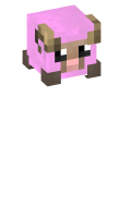 Skinfile
