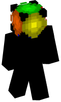 Skinfile