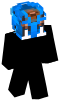 Skinfile